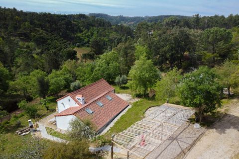 Farm i Gondemaria e Olival, Santarem, Gondemaria e Olival - € 899.000 | Ref: SF-SAFTI:006764 - foto 14