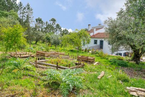 Farm i Gondemaria e Olival, Santarem, Gondemaria e Olival - € 899.000 | Ref: SF-SAFTI:006764 - foto 16