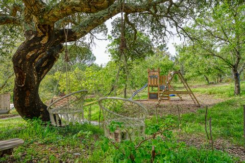 Farm i Gondemaria e Olival, Santarem, Gondemaria e Olival - € 899.000 | Ref: SF-SAFTI:006764 - foto 22