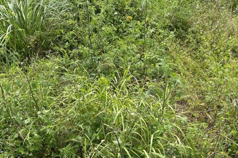 Helårsgrund i Rio Maior, Santarem, Rio Maior - € 52.500 | Ref: SF-SAFTI:006786 - foto 1