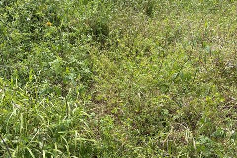 Helårsgrund i Rio Maior, Santarem, Rio Maior - € 52.500 | Ref: SF-SAFTI:006786 - foto 2