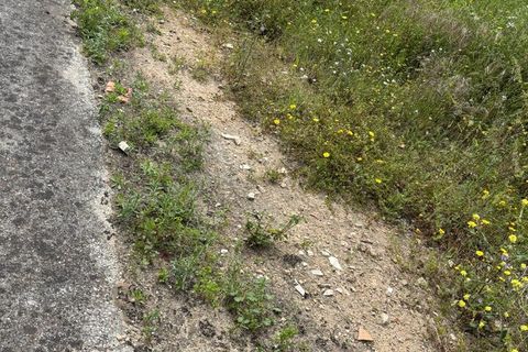 Helårsgrund i Rio Maior, Santarem, Rio Maior - € 52.500 | Ref: SF-SAFTI:006786 - foto 5