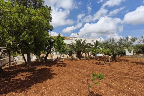 Landejendom i Alberobello, Bari, Alberobello - € 380.000 | Ref: COAL - foto 7