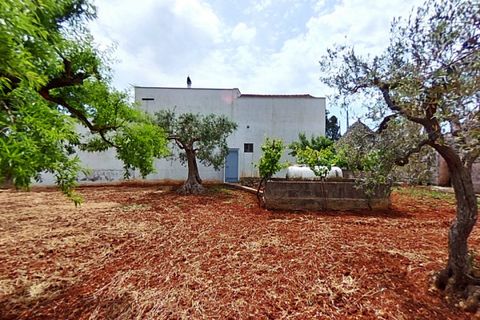 Landejendom i Alberobello, Bari, Alberobello - € 380.000 | Ref: COAL - foto 28