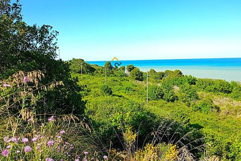 Helårsgrund i Massignano, Ascoli Piceno, Massignano - € 250.000 | Ref: 1416 - foto 2