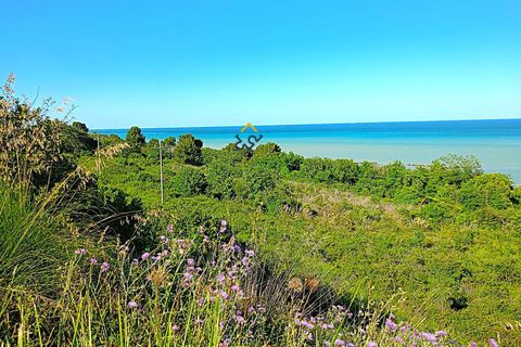 Helårsgrund i Massignano, Ascoli Piceno, Massignano - € 250.000 | Ref: 1416 - foto 5
