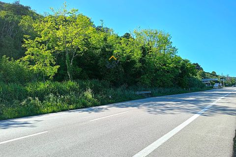 Helårsgrund i Massignano, Ascoli Piceno, Massignano - € 250.000 | Ref: 1416 - foto 6