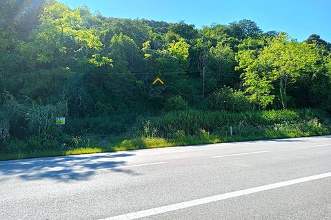 Helårsgrund i Massignano, Ascoli Piceno, Massignano - € 250.000 | Ref: 1416 - foto 7