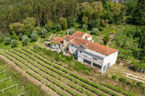 Villa i Coimbra, Coimbra, Coimbra - € 850.000 | Ref: C0396-00809 - foto 5