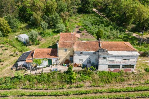 Villa i Coimbra, Coimbra, Coimbra - € 850.000 | Ref: C0396-00809 - foto 6