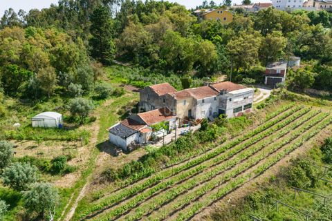 Villa i Coimbra, Coimbra, Coimbra - € 850.000 | Ref: C0396-00809 - foto 7