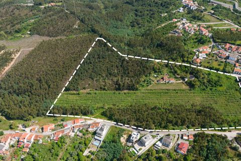 Villa i Coimbra, Coimbra, Coimbra - € 850.000 | Ref: C0396-00809 - foto 14