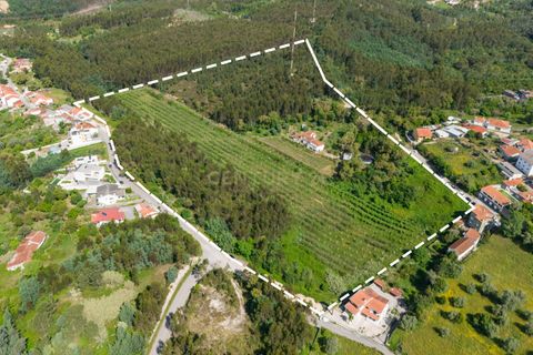 Villa i Coimbra, Coimbra, Coimbra - € 850.000 | Ref: C0396-00809 - foto 4