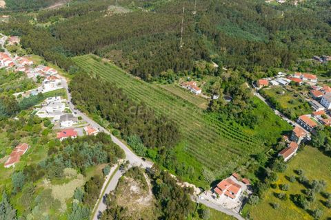 Villa i Coimbra, Coimbra, Coimbra - € 850.000 | Ref: C0396-00809 - foto 18