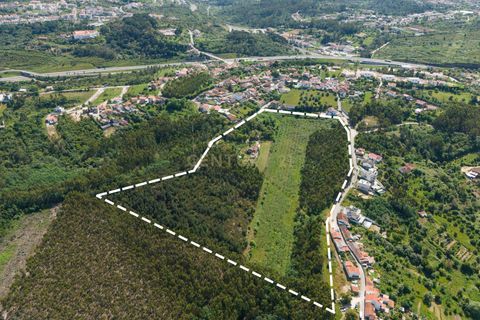 Villa i Coimbra, Coimbra, Coimbra - € 850.000 | Ref: C0396-00809 - foto 19
