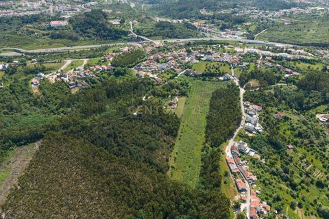 Villa i Coimbra, Coimbra, Coimbra - € 850.000 | Ref: C0396-00809 - foto 22