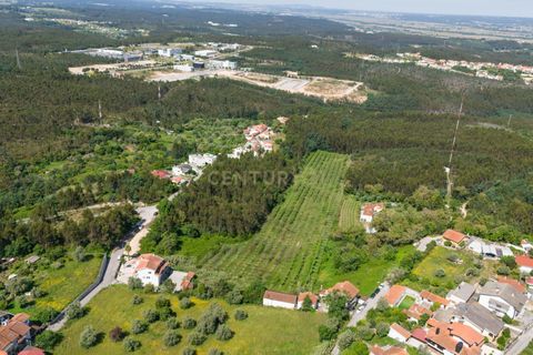 Villa i Coimbra, Coimbra, Coimbra - € 850.000 | Ref: C0396-00809 - foto 26