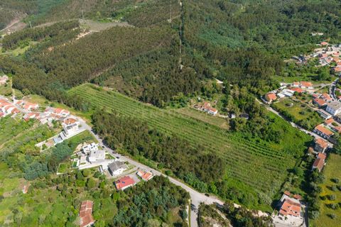 Villa i Coimbra, Coimbra, Coimbra - € 850.000 | Ref: C0396-00809 - foto 27