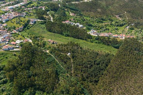 Villa i Coimbra, Coimbra, Coimbra - € 850.000 | Ref: C0396-00809 - foto 29