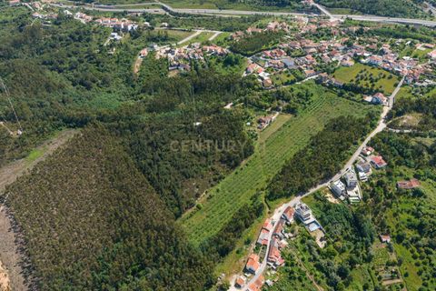 Villa i Coimbra, Coimbra, Coimbra - € 850.000 | Ref: C0396-00809 - foto 33