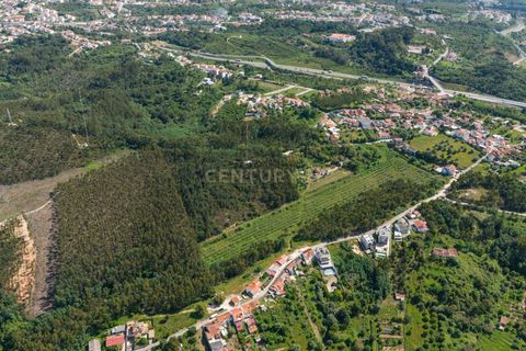 Villa i Coimbra, Coimbra, Coimbra - € 850.000 | Ref: C0396-00809 - foto 36