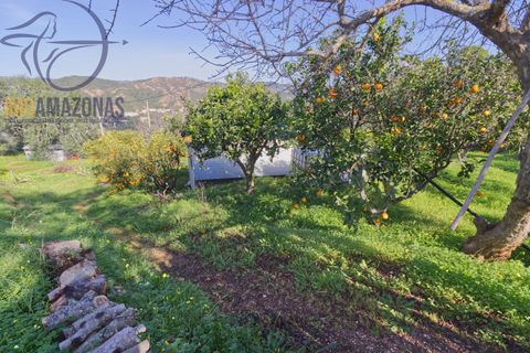 Helårsgrund i Silves, Faro, Silves - € 160.000 | Ref: 07-490 - foto 3