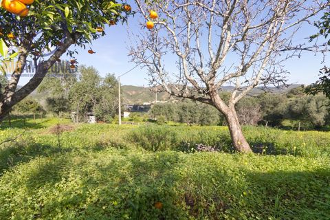 Helårsgrund i Silves, Faro, Silves - € 160.000 | Ref: 07-490 - foto 4