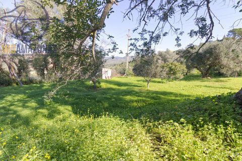 Helårsgrund i Silves, Faro, Silves - € 160.000 | Ref: 07-490 - foto 6