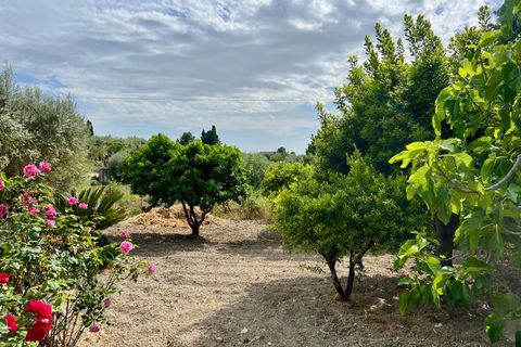 Villa a Caltanissetta, Caltanissetta, Caltanissetta - € 115.000 | Ref: 1841122 - foto 17