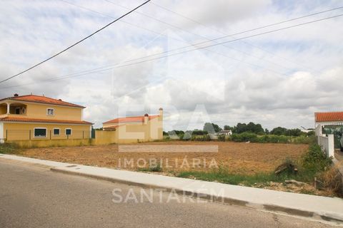 Terra a Alpiarca, Santarem, Alpiarca - € 35.000 | Ref: 11833 - foto 2