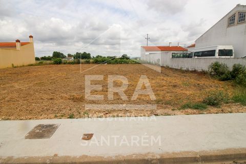 Terra a Alpiarca, Santarem, Alpiarca - € 35.000 | Ref: 11833 - foto 3