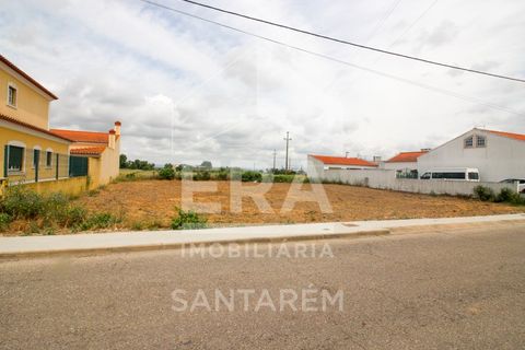 Terra a Alpiarca, Santarem, Alpiarca - € 35.000 | Ref: 11833 - foto 4