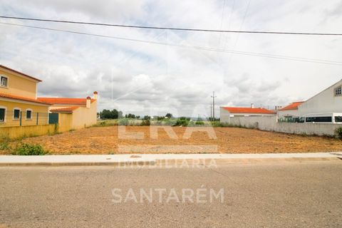 Terra a Alpiarca, Santarem, Alpiarca - € 35.000 | Ref: 11833 - foto 5