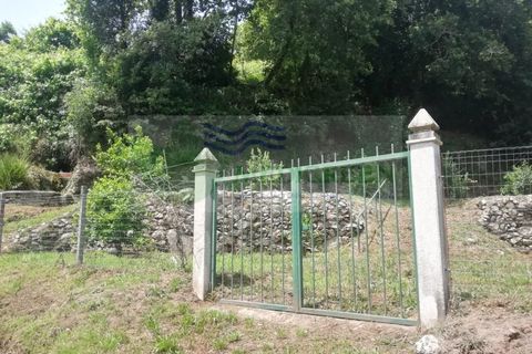 Helårsgrund i Sever do Vouga, Aveiro, Sever do Vouga - € 42.500 | Ref: TER_1822 - foto 4