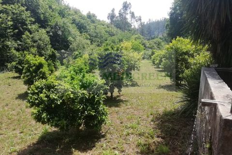 Helårsgrund i Sever do Vouga, Aveiro, Sever do Vouga - € 42.500 | Ref: TER_1822 - foto 8