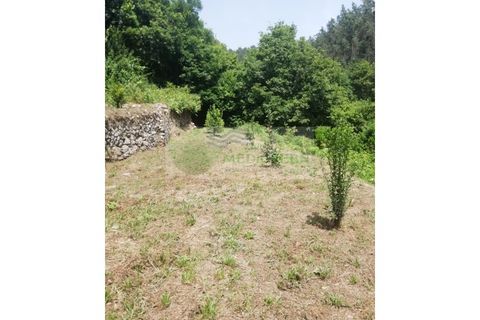 Helårsgrund i Sever do Vouga, Aveiro, Sever do Vouga - € 42.500 | Ref: TER_1822 - foto 9
