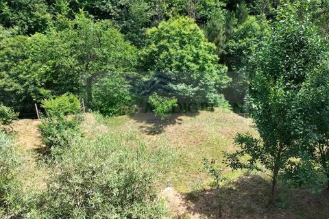 Helårsgrund i Sever do Vouga, Aveiro, Sever do Vouga - € 42.500 | Ref: TER_1822 - foto 10
