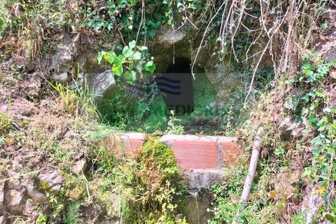 Helårsgrund i Sever do Vouga, Aveiro, Sever do Vouga - € 42.500 | Ref: TER_1822 - foto 13