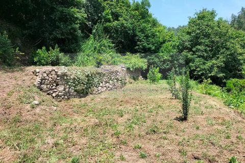 Helårsgrund i Sever do Vouga, Aveiro, Sever do Vouga - € 42.500 | Ref: TER_1822 - foto 14