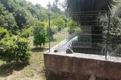 Helårsgrund i Sever do Vouga, Aveiro, Sever do Vouga - € 42.500 | Ref: TER_1822 - foto 17