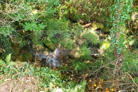 Helårsgrund i Sever do Vouga, Aveiro, Sever do Vouga - € 42.500 | Ref: TER_1822 - foto 18