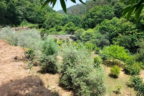 Helårsgrund i Sever do Vouga, Aveiro, Sever do Vouga - € 42.500 | Ref: TER_1822 - foto 22