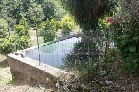 Helårsgrund i Sever do Vouga, Aveiro, Sever do Vouga - € 42.500 | Ref: TER_1822 - foto 24