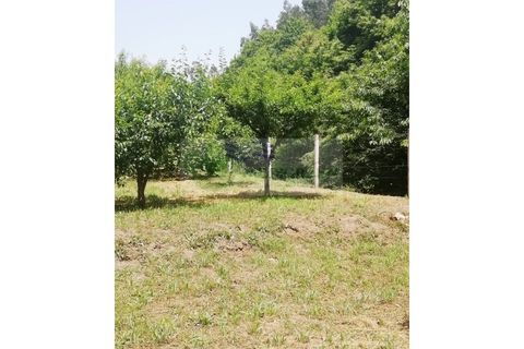 Helårsgrund i Sever do Vouga, Aveiro, Sever do Vouga - € 42.500 | Ref: TER_1822 - foto 25