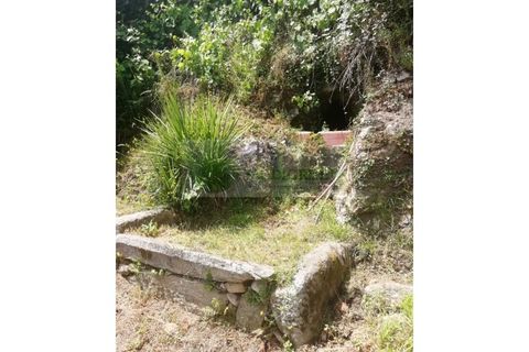 Helårsgrund i Sever do Vouga, Aveiro, Sever do Vouga - € 42.500 | Ref: TER_1822 - foto 26