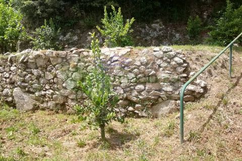 Helårsgrund i Sever do Vouga, Aveiro, Sever do Vouga - € 42.500 | Ref: TER_1822 - foto 27