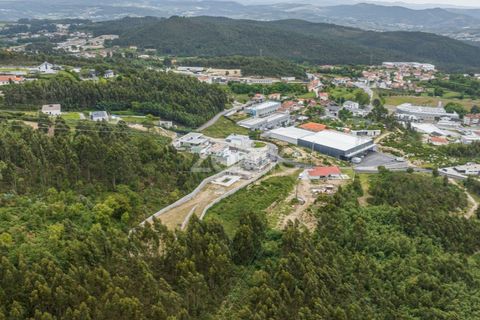 Helårsgrund i Paredes, Porto, Paredes - € 130.000 | Ref: ZMPT567201 - foto 12