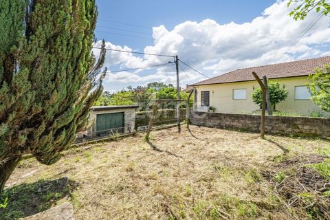 Villa i Vade, Braga, Vade - € 180.000 | Ref: ZMPT577075 - foto 7
