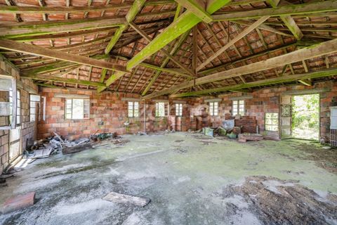 Villa i Vade, Braga, Vade - € 180.000 | Ref: ZMPT577075 - foto 13