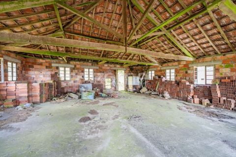 Villa i Vade, Braga, Vade - € 180.000 | Ref: ZMPT577075 - foto 17